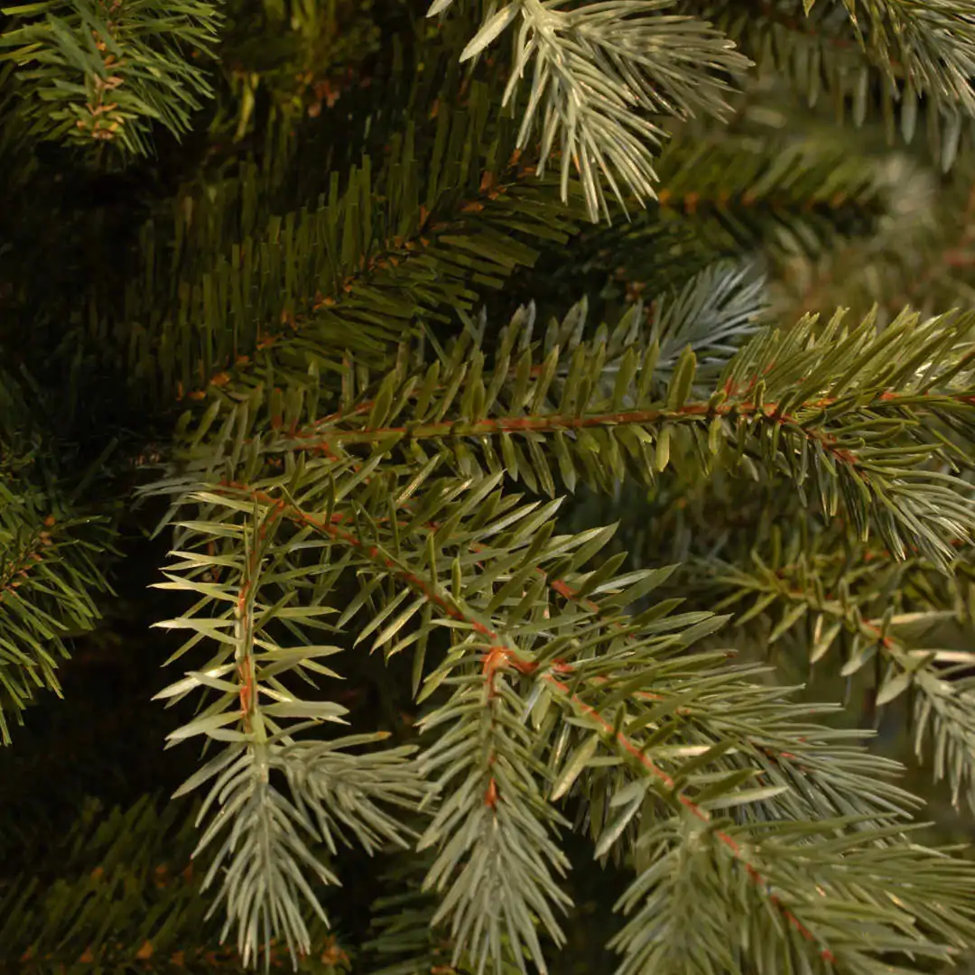 Елка искусственная Ardley -Black Box (Нидерланды)- 215см — изображение 2