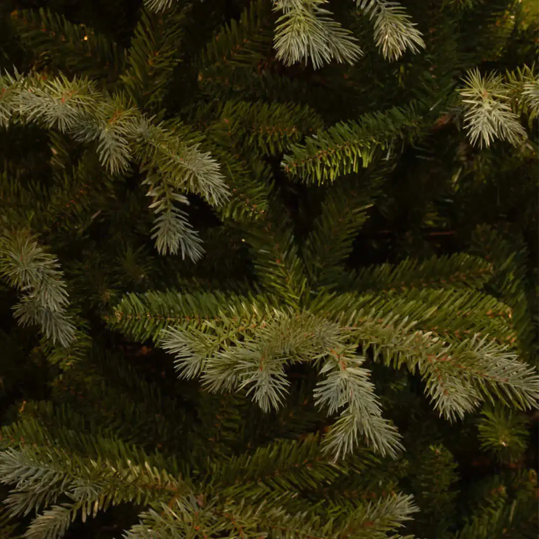 Елка искусственная Ardley -Black Box (Нидерланды)- 215см — изображение 3