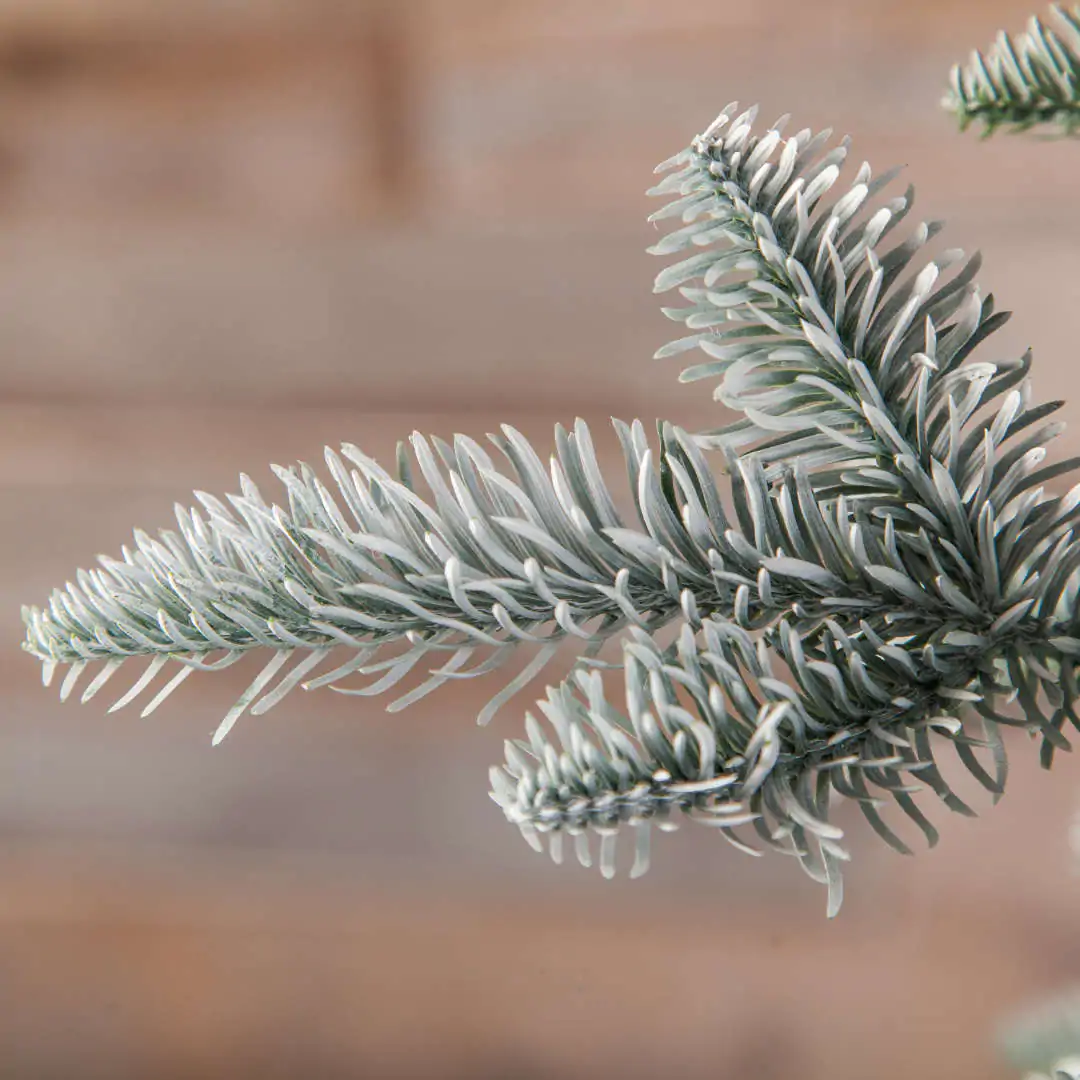 Новогодняя елка Triumph Tree Hallarin Frosted, зеленая заснеженная — изображение 4